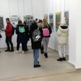 Zrenjaninski Stripolis stigao do Apatina 10