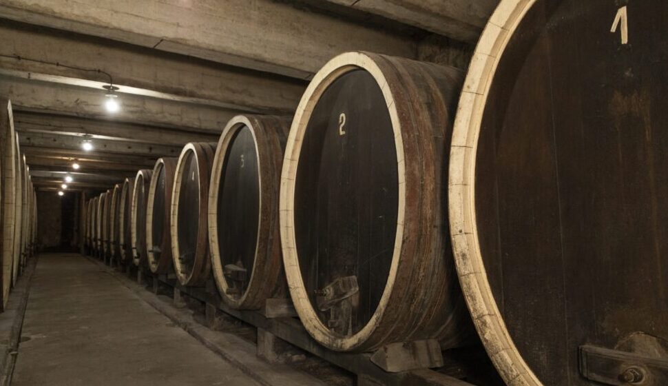 Kraljevska vinarija na Oplencu biće obnovljena sledeće godine 1