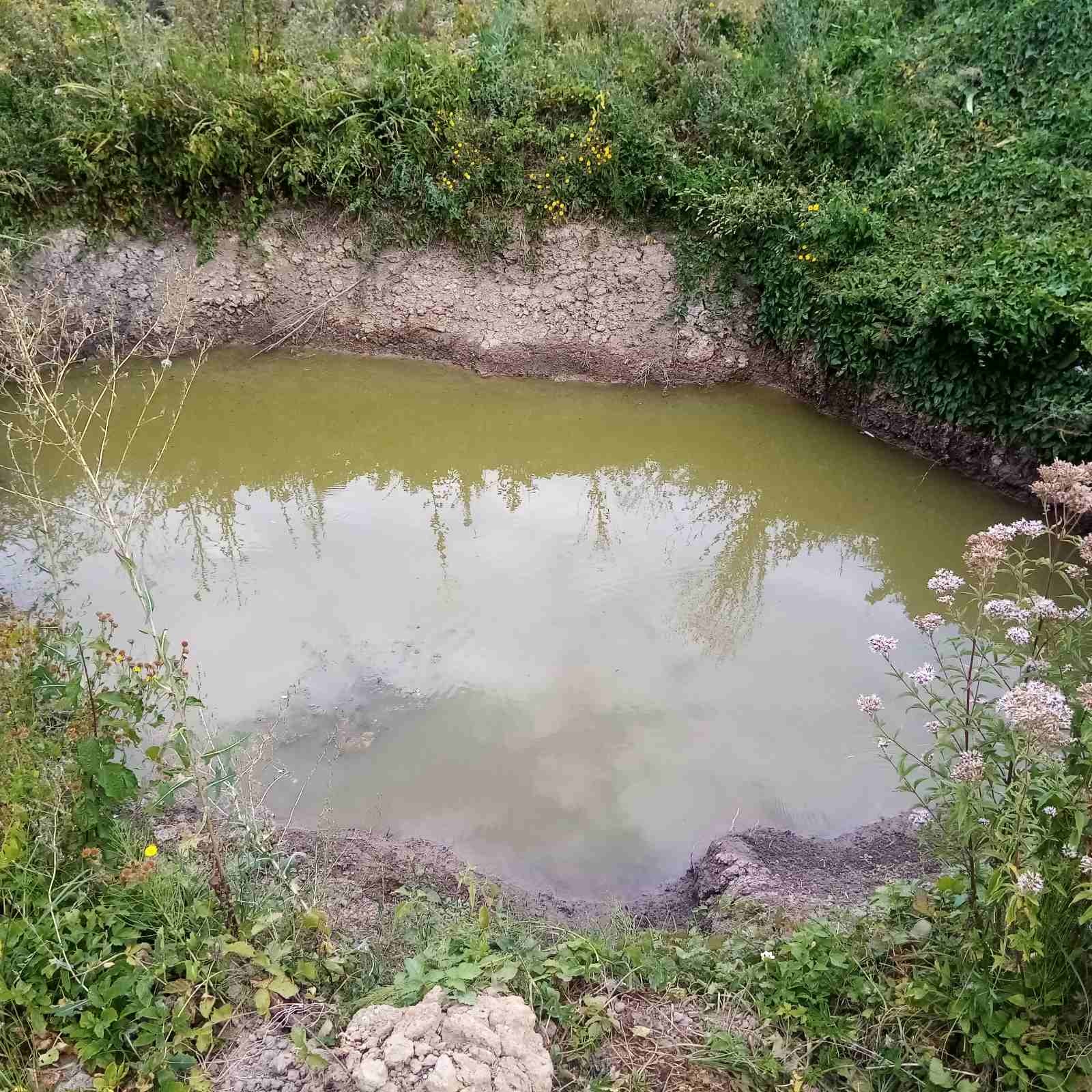 Tope sneg i sakupljaju kišnicu u 21. veku nadomak Kragujevca (FOTO) 4