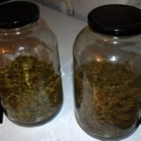 Hapšenje zbog droge u Pirotu 8