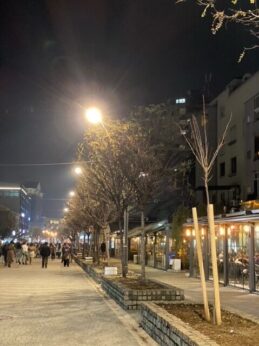 Novi Pazar U Novom Pazaru ama baš ništa ne asocira da nam je 2022. godina pred vratima 3