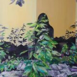 Izabrana najlepša dvorišta u Šumadiji 2