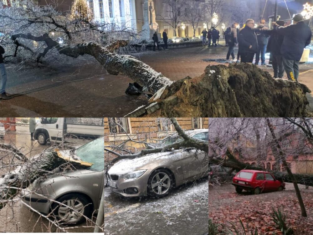 U SSP tvrde da su Subotičani u životnoj opasnosti zbog nebrige i nekompetentnosti gradske vlasti 2 U SSP tvrde da su Subotičani u životnoj opasnosti zbog nebrige i nekompetentnosti gradske vlasti 2