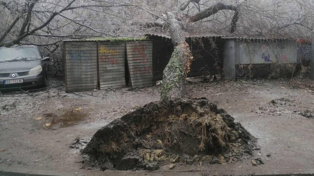 U SSP tvrde da su Subotičani u životnoj opasnosti zbog nebrige i nekompetentnosti gradske vlasti 1