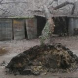 U SSP tvrde da su Subotičani u životnoj opasnosti zbog nebrige i nekompetentnosti gradske vlasti 9