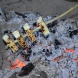 Miročki bareni sir u odabranom društvu svetskih sireva 4