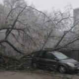 Usled stvaranja ledenica u Subotici obrušeno 21 stablo i oštećeno 19 vozila 4