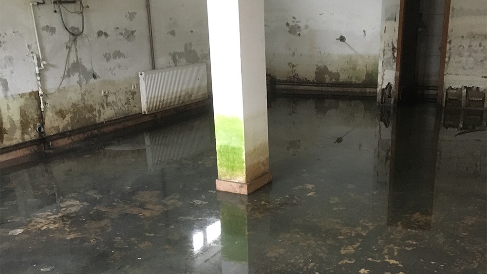 Kragujevac: Porodičnu kuću Pantića plavi kanalizacija, dok sudski spor sa Gradom traje duže od dve godine 3 Kragujevac: Porodičnu kuću Pantića plavi kanalizacija, dok sudski spor sa Gradom traje duže od dve godine 3