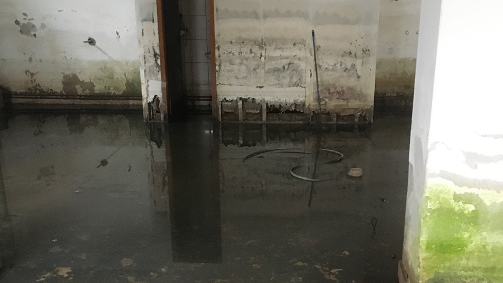 Kragujevac: Porodičnu kuću Pantića plavi kanalizacija, dok sudski spor sa Gradom traje duže od dve godine 2 Kragujevac: Porodičnu kuću Pantića plavi kanalizacija, dok sudski spor sa Gradom traje duže od dve godine 2