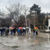 I u Prokuplju blokada saobraćaja na poziv ekoloških udruženja (VIDEO) 10