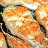 Riba na sto načina 1