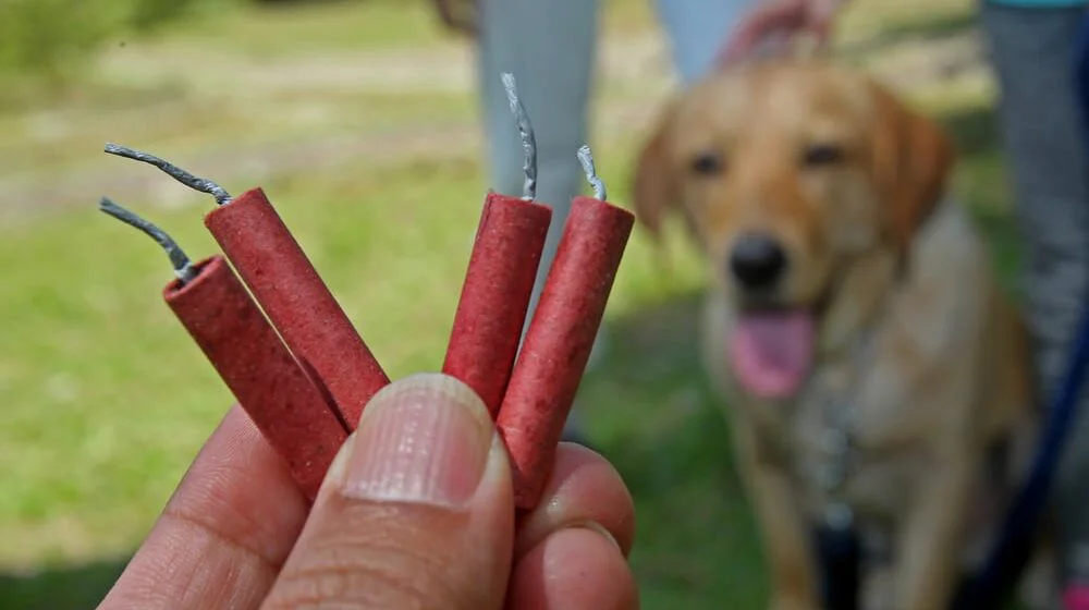 U 300 beogradskih škola edukacija o opasnostima od petardi 1