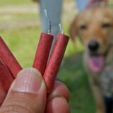 Kako zaštititi životinje tokom praznika od upotrebe pirotehnike (VIDEO) 6