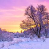 Na snazi narandžasti meteo alarm za područje istočne Srbije, Timočku krajinu i Banat 7