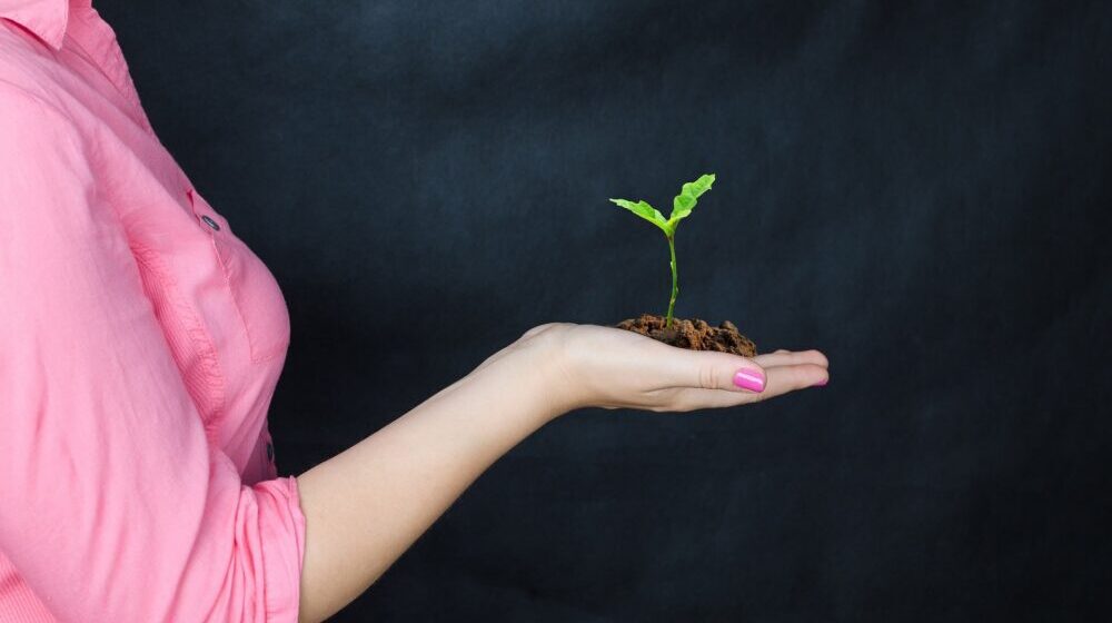 Gudurički vrh u opasnosti: Zašto se menja režim zaštite? 1