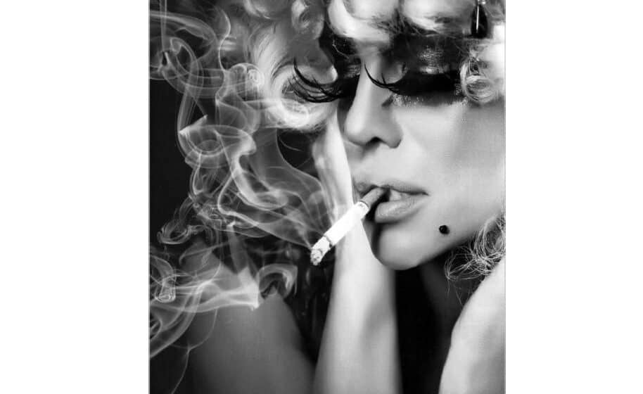 Kolektivna biografska studija majke u zapadnoj kulturi 20. veka 1