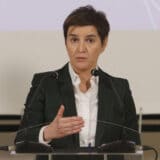 Brnabić: Izglasanim ustavnim promenama napravljen veliki korak u jačanju vladavine prava 11