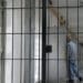 Oko 1.200 osuđenika u Srbiji godišnje bude pušteno na uslovnu slobodu 13
