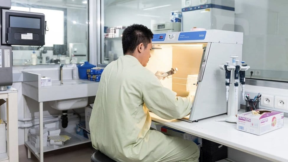 One of Duong's team works in a laboratory