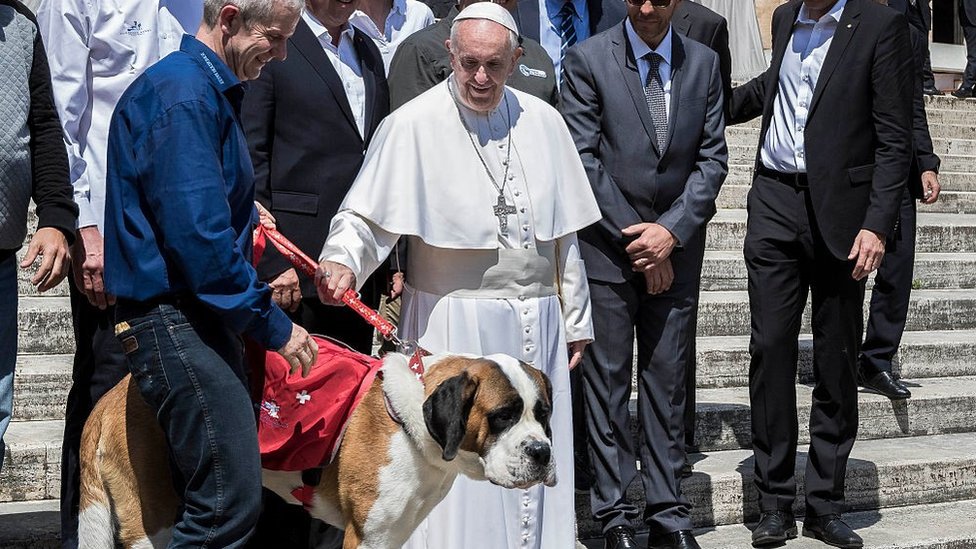 Katolička crkva i porodica: Papa Franja kaže da su ljudi koji neće decu, već imaju kućne ljubimce - sebični 1 Pope Francis looks at a dog
