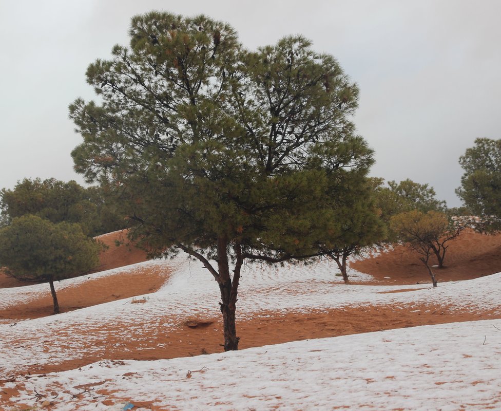 Pustinja i zima: Čarobne fotografije Sahare pod snegom 7 Picture dated January 6th shows a covering of snow in the Sahara Desert near Mekalis in northwestern Algeria.