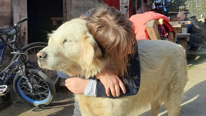 Ranč porodice Pavlović: Oaza bez asfalta i telefona za sve putnike namernike, ali i životinje (FOTO/VIDEO) 5 Ranč porodice Pavlović: Oaza bez asfalta i telefona za sve putnike namernike, ali i životinje (FOTO/VIDEO) 14