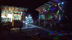 127216856_675255359854121_4939814244643195482_n Ranč porodice Pavlović: Oaza bez asfalta i telefona za sve putnike namernike, ali i životinje (FOTO/VIDEO) 7