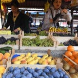 Jačanje imuniteta kao put ka zdravlju i vitalnosti organizma 9