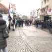 Protest u Loznici: Nećemo stati dok poslednje posečeno drvo ne bude zasađeno 13