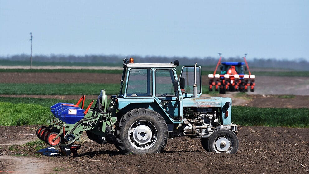 Majdanpek: Opština ponudila u zakup i na korišćenje 378 hektara u državnoj svojini 1