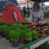 Pripreme za Božić u Zrenjaninu 2