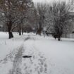 U Srbiji danas ledeni dan, temperatura i do minus 15 stepeni 10