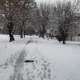 U Srbiji danas ledeni dan, temperatura i do minus 15 stepeni 2