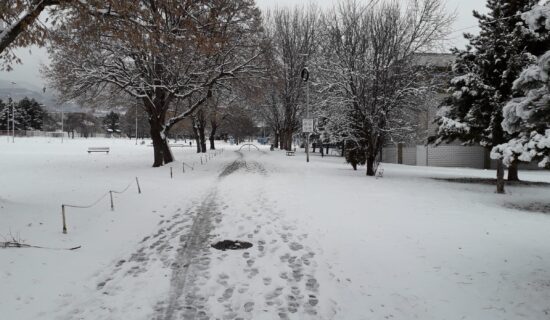 U Srbiji danas ledeni dan, temperatura i do minus 15 stepeni 7