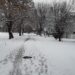 U Srbiji danas ledeni dan, temperatura i do minus 15 stepeni 17