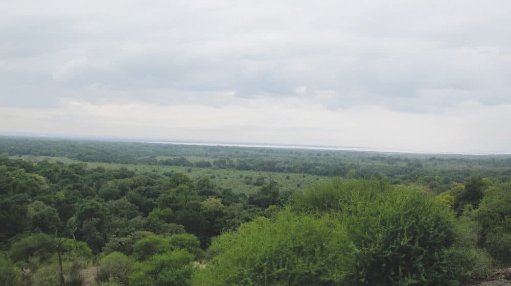 Tanzanija (2): Najlepši pogled u Africi 1