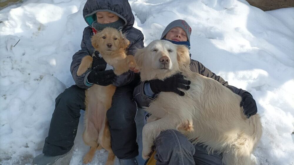 Ranč porodice Pavlović: Oaza bez asfalta i telefona za sve putnike namernike, ali i životinje (FOTO/VIDEO) 1