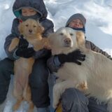 Ranč porodice Pavlović: Oaza bez asfalta i telefona za sve putnike namernike, ali i životinje (FOTO/VIDEO) 2