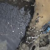 Peru proglasio hitnu ekološku situaciju od 90 dana posle izlivanja nafte u more 15