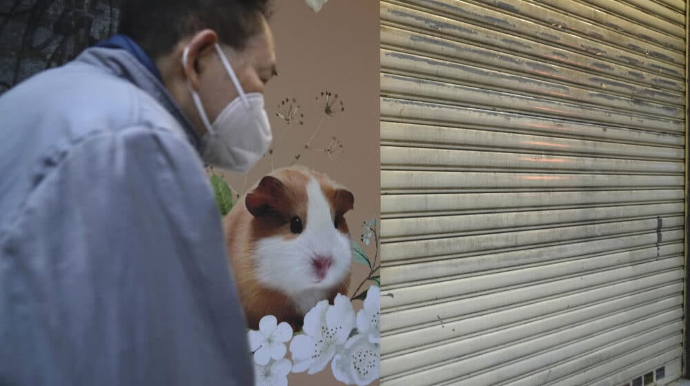 Hongkong će uspavati oko 2.000 malih sisara zbog pojave korona virusa 1