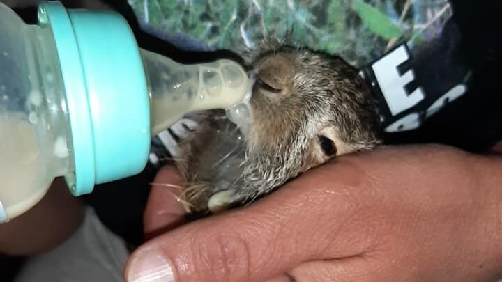 Ranč porodice Pavlović: Oaza bez asfalta i telefona za sve putnike namernike, ali i životinje (FOTO/VIDEO) 4 Ranč porodice Pavlović: Oaza bez asfalta i telefona za sve putnike namernike, ali i životinje (FOTO/VIDEO) 13