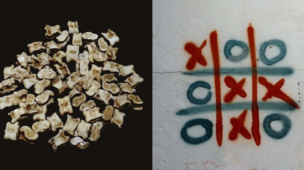 U Zrenjaninu izložba Fosilizacija 1