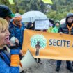 Presuda u korist ekološke aktivistkinje Dragane Arsić: Pokrajinski sekretarijat ponovo odlučuje o spornoj ogradi na vidikovcu Kesten 9