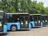 Novi Sad: Otkazuju se polasci autobusa zbog zraženih vozača kovidom, gradonačelnik ćuti 11