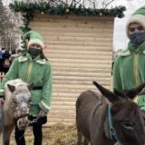 Deca i danas mogu da posete magični grad "Zoo planeta" u Nišu 4