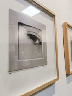 Otvorena izložba fotografija Marije Zindović u galeriji Trag 2