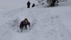 U Kladovu nema snega ni za lek, mališani se sankaju na obroncima Miroč planine 5