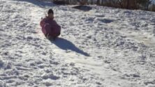 U Kladovu nema snega ni za lek, mališani se sankaju na obroncima Miroč planine 4