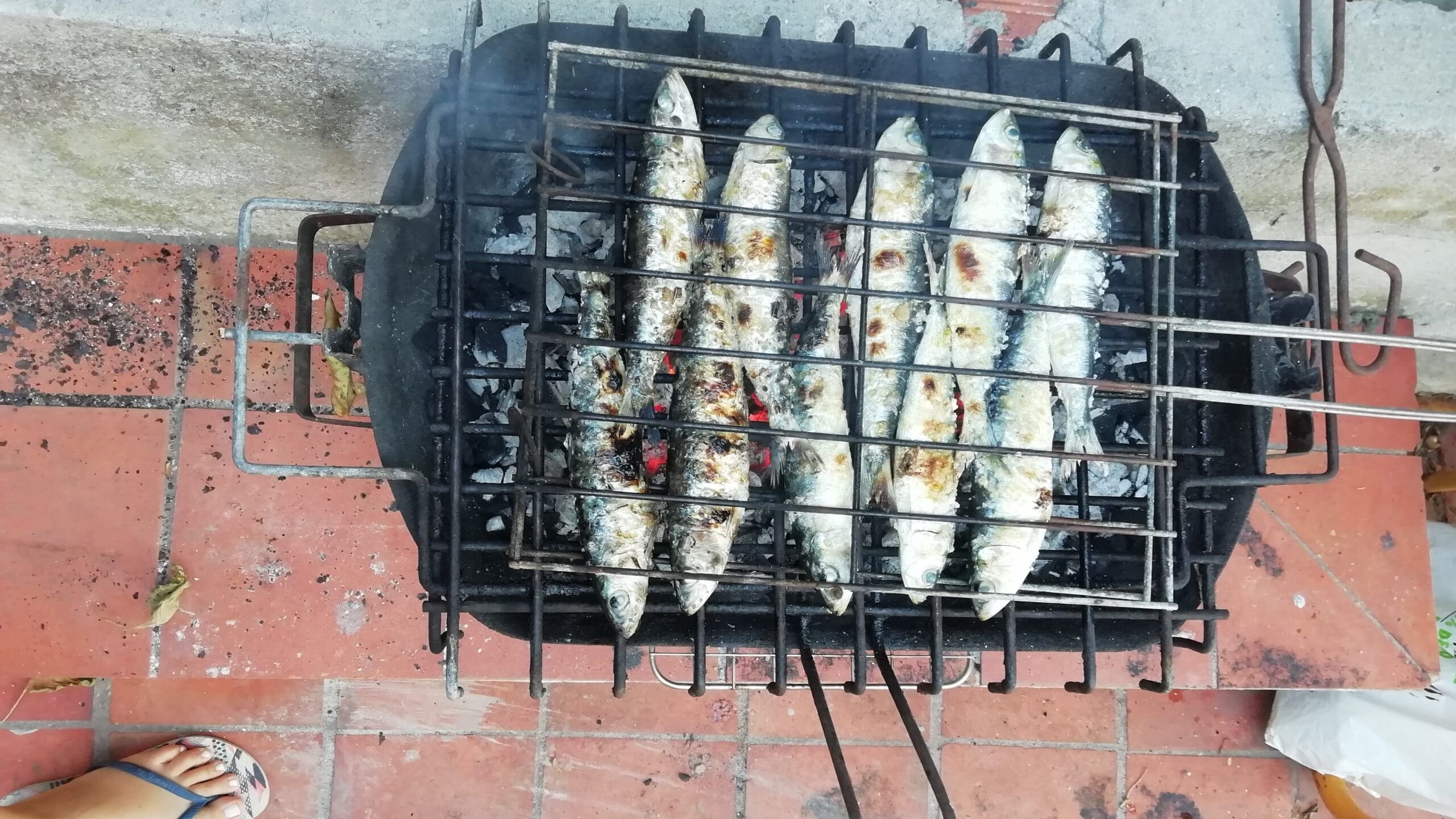 Sudbina svih ljudi koji se odsele je da im srce pripada na dva mesta 3