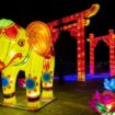 Kineski festival svetla u Beogradu i Novom Sadu od 31. januara do 13. februara 15